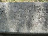 image of grave number 366254